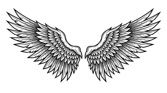 Wings tattoo emblem with detailed feathered pair spread wide, monochrome linework for vintage streetwear and logo design