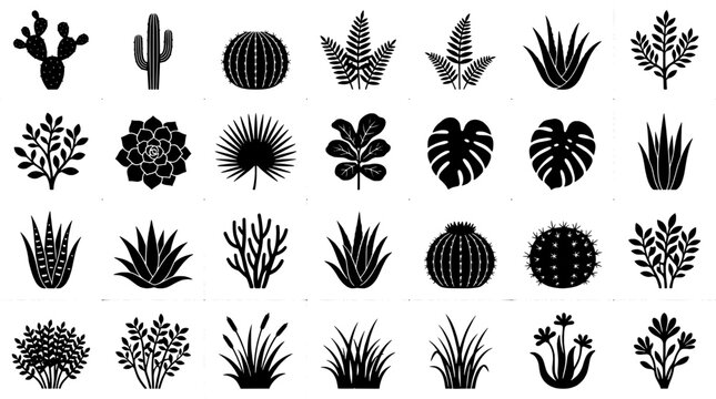 Cactus and desert plant icons set with black silhouette shapes, succulents and agave leaves for creative design projects