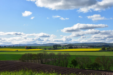 Stunning Scottish Highlands Landscapes with Farm Lands © dejavudesigns