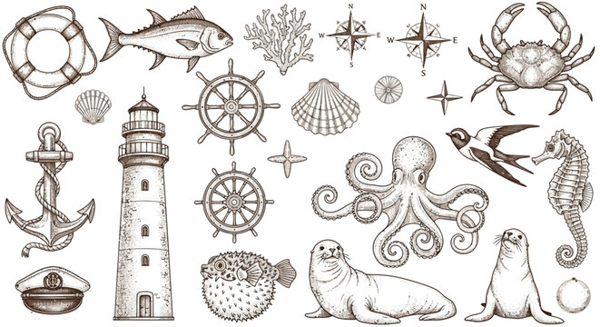 Nautical icons, sea creatures, lighthouse, marine symbols, vector illustrations