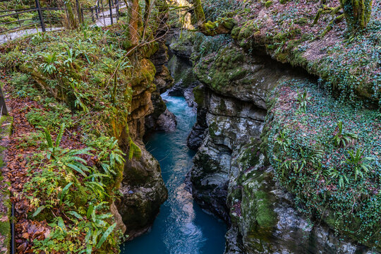 A turquoise stream winds through a narrow moss-covered gorge with steep rock walls, dense vegetation, and a small footpath visible above in Martvili Canyon, western Georgia.
