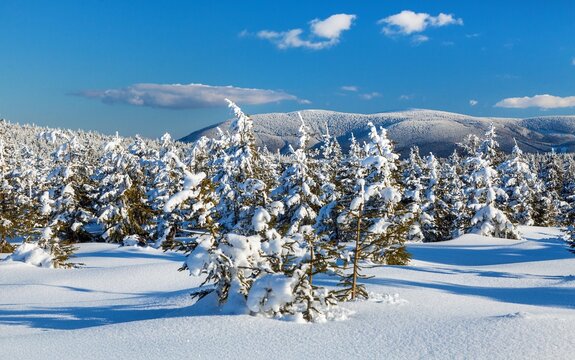 Mount Serak winter Jeseniky mountains Czech republic