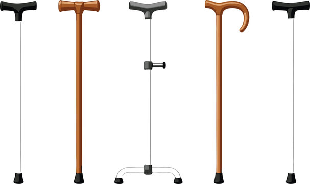 Walking cane and mobility aid collection with elderly support equipment vector illustration isolated on background