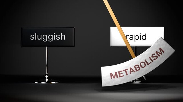 Metabolism cycles between sluggish and rapid. Visualizing a repeated pattern of metabolism that swings between extremities: sluggish and rapid. Repeating transition from sluggish to rapid.