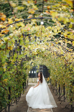 Bride in a flowing white gown walks through a lush vineyard tunnel