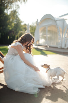 Bride in white dress interacting with her dog outdoors on a sunny day