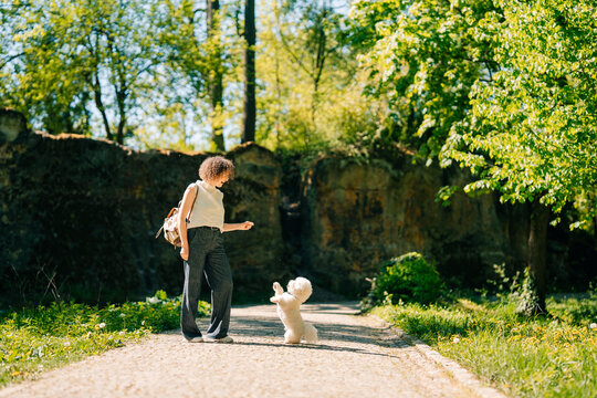Curly-haired owner interacts with Bichon Frise in a sunny park