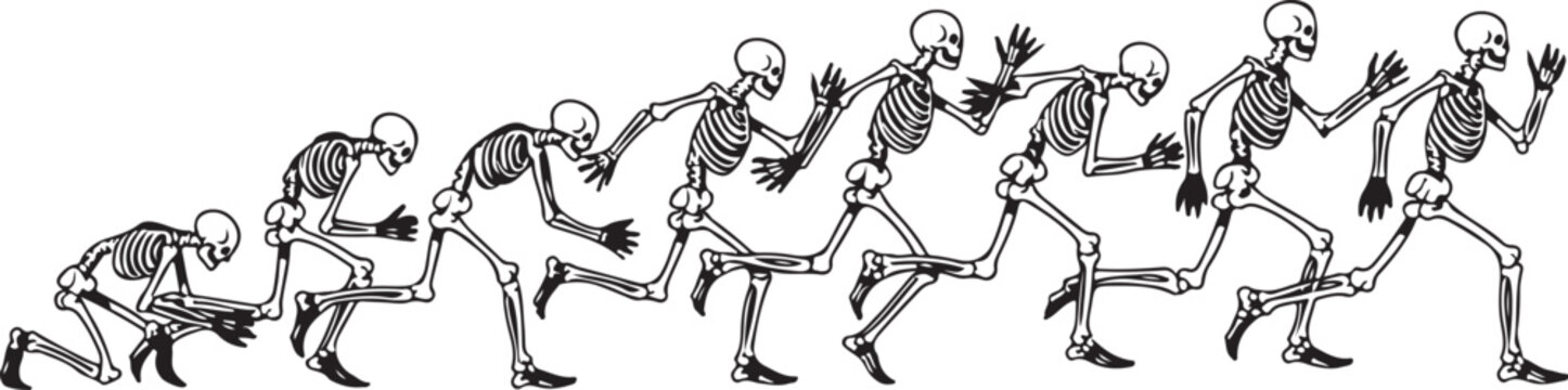 Skeleton figures running in sequence animation