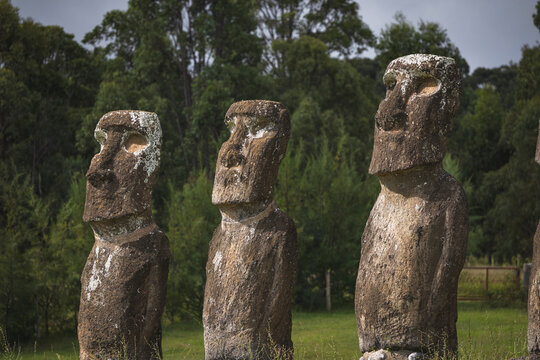 Three ancient Moai statues stand in a row