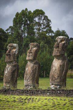 Ancient Moai statues standing tall on Easter Island