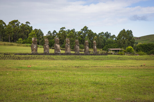Seven Moai statues standing in a line on Easter Island