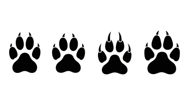 Set of black animal paw prints with sharp claws footprint wildlife predator