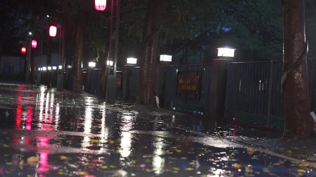Rainy Night Street with Wet Pavement Reflecting Red and White Lights, Trees Lining the Path