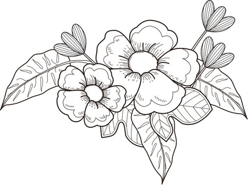 Flower for coloring