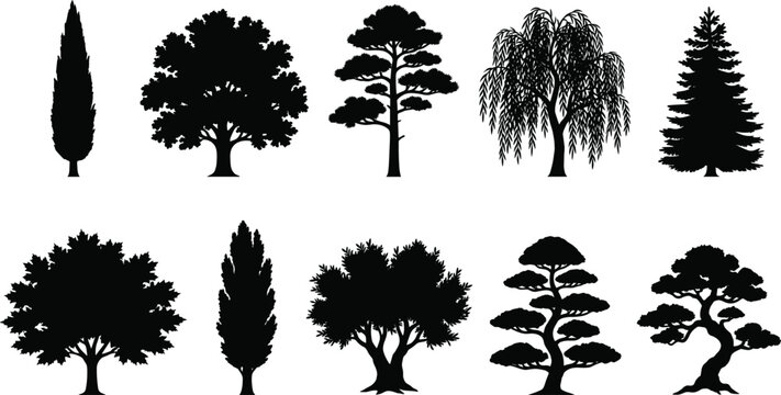 Tree Silhouette Collection Featuring Cypress Willow Pine and Bonsai Trees for Nature Landscape Vector Illustration