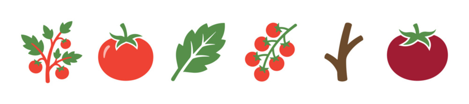 Set of simple tomato vector icons showing a growing plant, whole fruit, green leaf, and cherry tomatoes on the vine in a clean, flat, graphic design style
