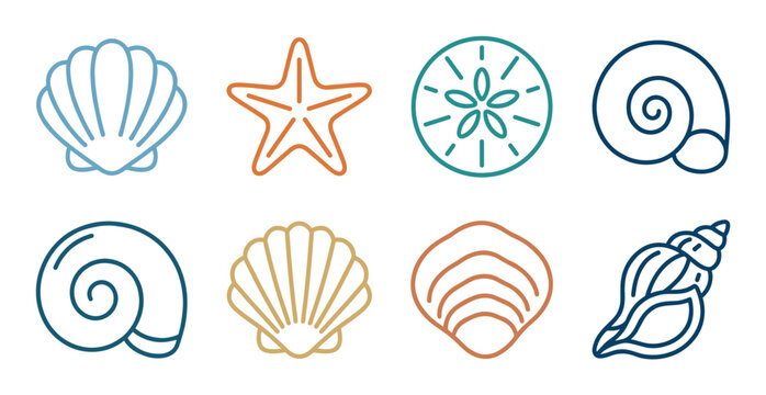 Colorful seashell and sea life line icons featuring minimalist illustrations of a starfish, sand dollar, scallop, and conch shell in a clean, modern vector graphic set