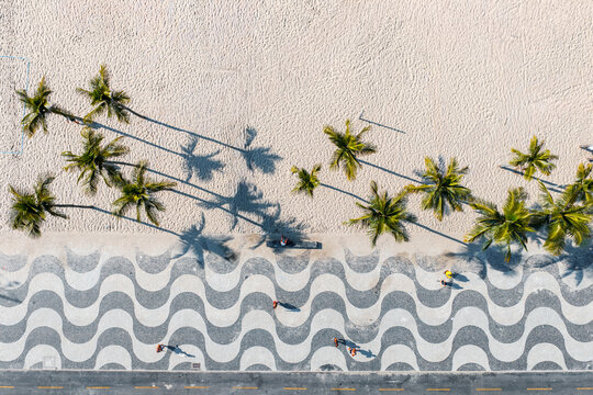 Aerial view of walkway and palm trees, Copacabana beach, Rio de Janeiro, Brazil