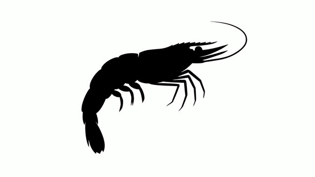 Black shrimp silhouette, seafood icon, crustacean symbol, vector illustration isolated on White Background Editable EPS