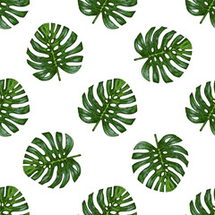 Hand drawn vintage seamless pattern of green monstera tropical leaves in botanical engraving style vector illustration © Mariia Mazaeva