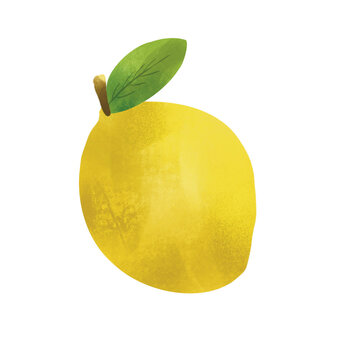Yellow Lemon with Grain Texture Retro Citrus Fruit Illustration Art in Vintage Style