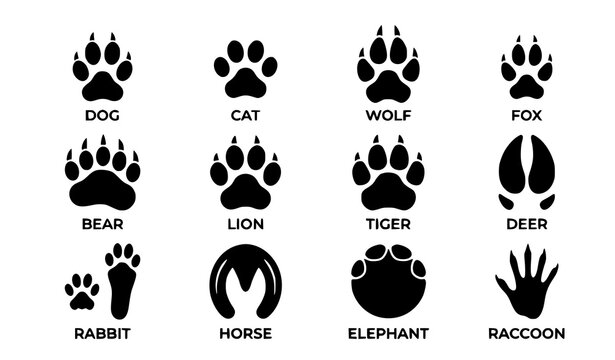 Domestic and wild animal footprint vector set with paw track silhouettes isolated on white background
