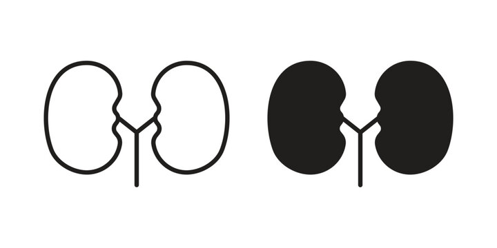Kidney icon collection. Vector icon illustrated