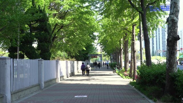 People walking on a tree-lined city sidewalk