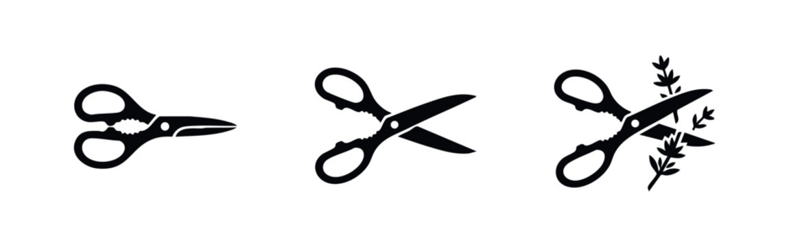 Kitchen Shears Icon Set Showing Closed Scissors Open Blades and Herb Cutting Action
