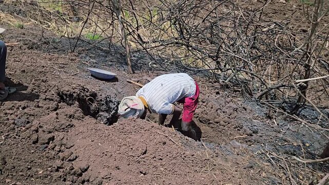 To fix an agriculture pipeline leakage, a worker endures hard work while digging the earth. The bright sun beats down, causing visible sweating during this exhausting rural task.
