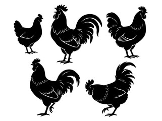 Rooster and Hen Silhouette Set for Logo Branding and Design © MohammadJakirul