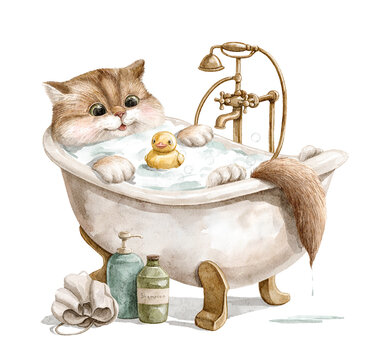Watercolor cute red funny cat ilies in bathtub with foam,  playing with rubber ducky, bathes and smiles isolated on white background. Hand drawn illustration sketch