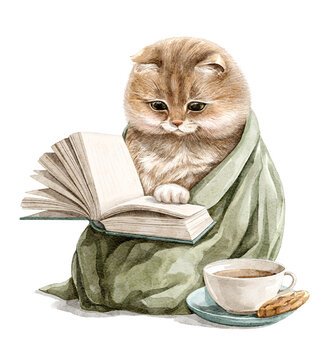 Watercolor cute red funny cat in green blanket reading book and drinking hot drink with cookies isolated on white background. Hand drawn illustration sketch