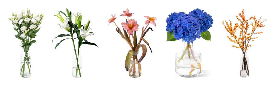 PNG Vibrant floral arrangements in vases on transparent background