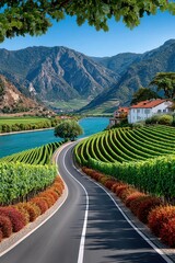 Obraz premium Scenic winding road through lush vineyard rows beside a turquoise river with mountains and village