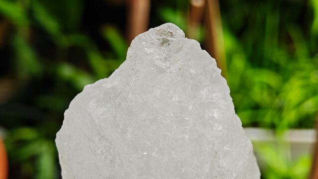 Clear alum lumps placed on tree stumps.