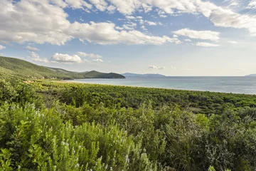 Fototapeten Mediterranes Europa Panoramic view of the coastline in Maremma, Tuscany, featuring a lush green pine forest meeting the sandy beach and Mediterranean Sea under a dramatic cloudy sky  © ikoon