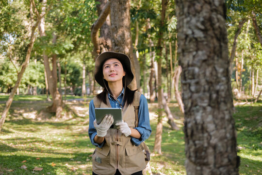Female botanist analyzes leaves and grass specimens outdoors in field