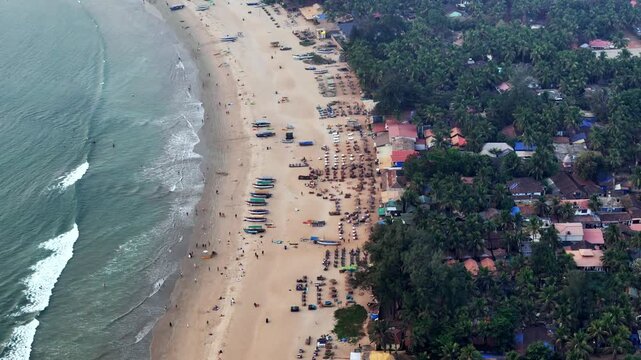 Cinematic aerial view of Palolem Beach showcasing a lively shoreline lined with palm-covered settlements, colorful beach shacks, rows of sunbeds, and gentle waves washing onto the sandy coast.