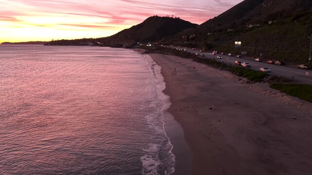 Coastal birds glide over the California shore with Pacific Coast Highway traffic flowing alongside, wildlife and infrastructure sharing the frame at golden hour evening.