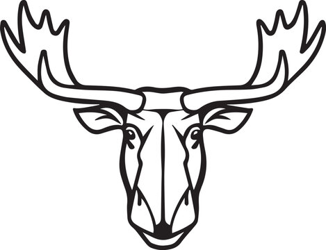 A majestic moose head, meticulously depicted in a striking black and white line art illustration, its impressive antlers dominating the composition.