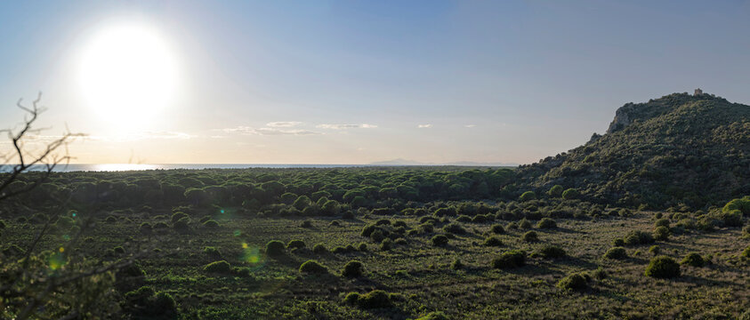 Panoramic sunset over Maremma Regional Park landscape with coastal pine forest and Mediterranean sea in Tuscany, Italy