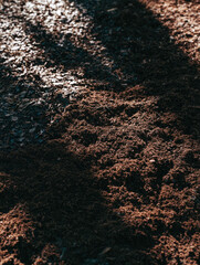 Fototapeta premium Humus rich soil fertile ground forest floor leaf litter dark earth dappled sunlight natural texture organic matter copy space