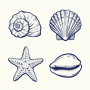 Vintage seashell line art collection, hand drawn nautical sea shell and starfish vector set, blue marine life sketches on cream background
