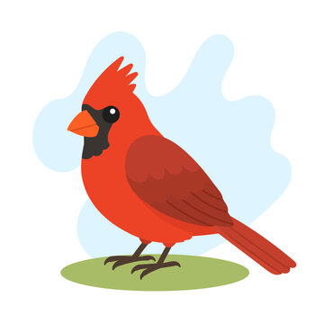 Northern cardinal standing on green grass in cute flat vector style, Cardinalis cardinalis feathers glowing brightly, Northern cardinal songbird icon art