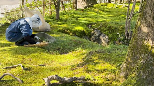 Japanese Gardener Sweeping Moss in Kenrokuen Garden Kanazawa Japan
