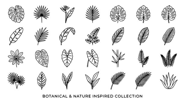 set of vector flowers