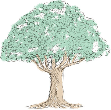 Hand drawing tree