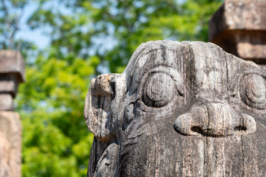 Pollonaruwa lion statue: detail of 12th century stone sculpture, Sri Lanka, Nissanka Malla Council Chamber