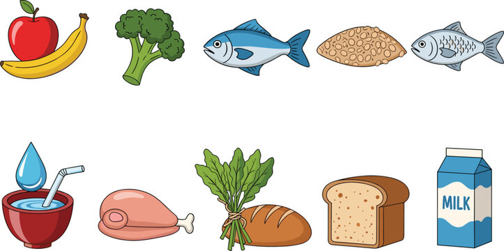 Healthy Food and Grocery Set - Fresh Fruits, Vegetables, and Protein Organic Food Collection for Supermarket